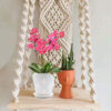 Macramé Wooden Wall Hanging Shelf |940| Modern Chic Woven Macrame Tapestries