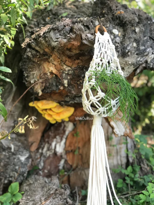 Pattern Macrame Pod Planter, Macrame Plant Hanger