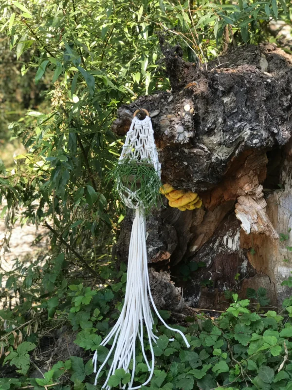 Pattern Macrame Pod Planter, Macrame Plant Hanger