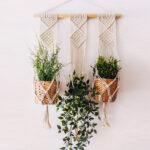 Macrame Triple PlanAt Hanger5