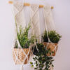 Macrame Triple PlanAt Hanger5