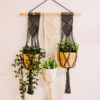 Macrame Triple PlanAt Hanger5