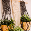 Macrame Triple PlanAt Hanger5