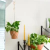 Macramé Plant Hanger