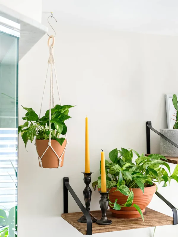 Macramé Plant Hanger