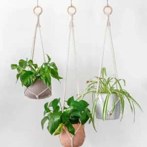 Macramé Plant Hanger