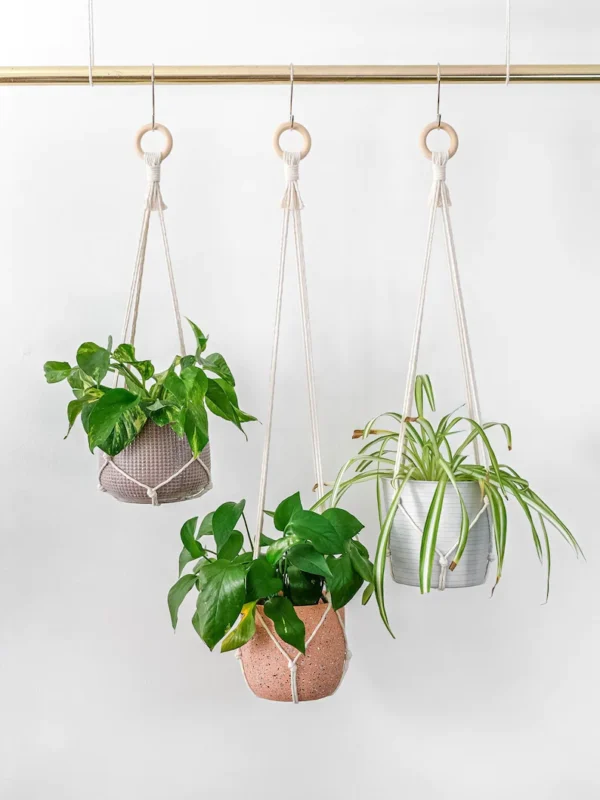 Macramé Plant Hanger