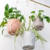 Macramé Plant Hanger