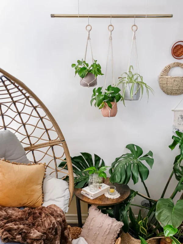 Macramé Plant Hanger