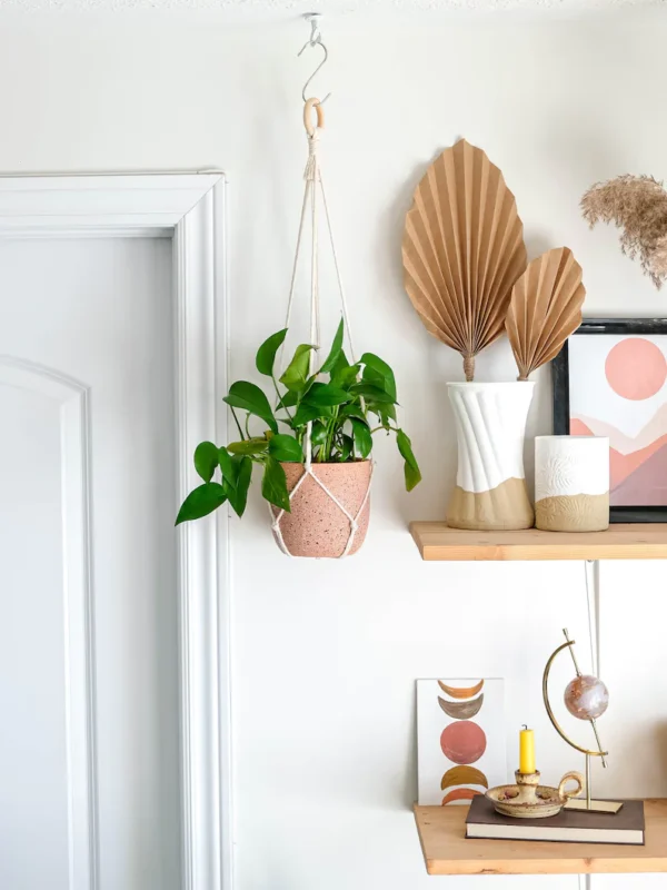 Macramé Plant Hanger