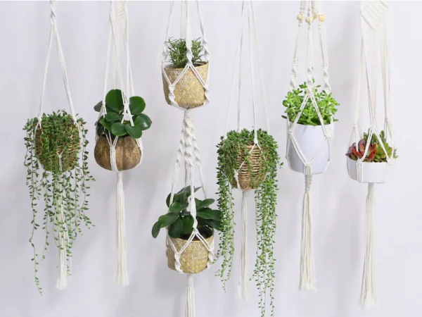 Macrame plant hanger