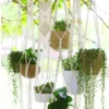 Macrame plant hanger