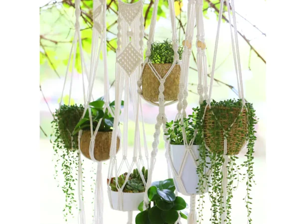 Macrame plant hanger