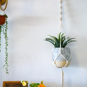 Macrame plant hanger