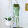 Macrame plant hanger