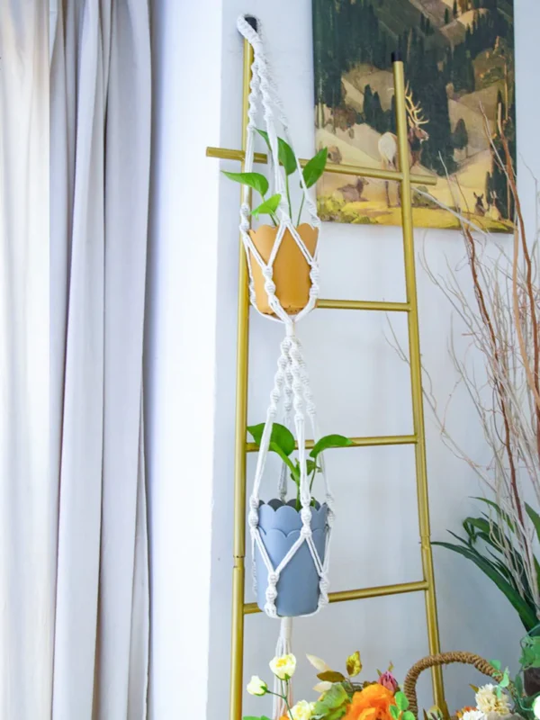 Macrame plant hanger