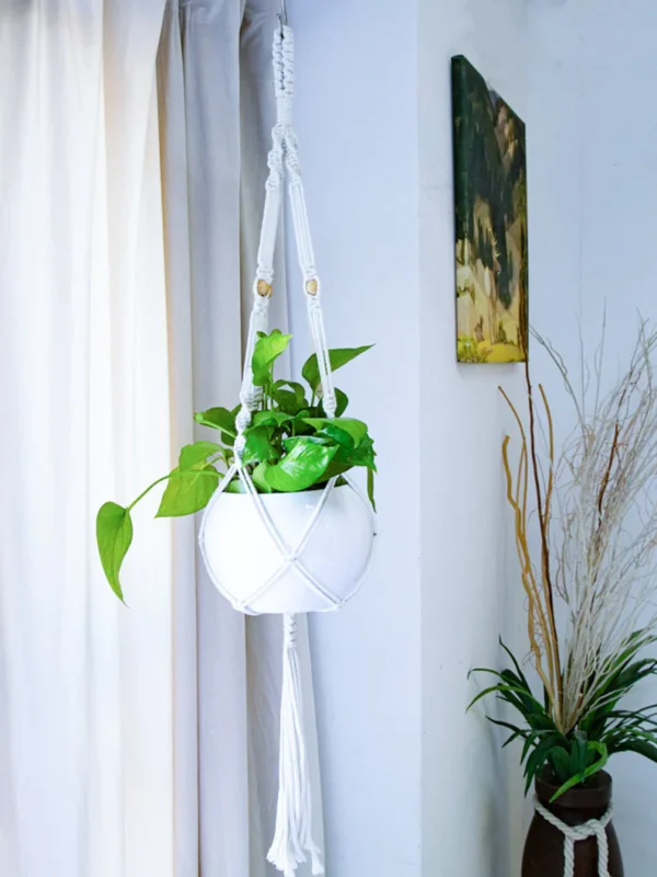 Macrame plant hanger