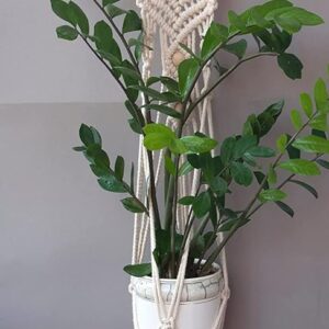 MACRAME PLANT HANGER