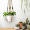 Macrame Plant Hangers