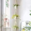 MACRAME PLANT HANGER