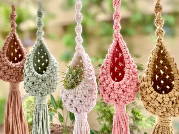 Mini Macrame Air Plant Hanger