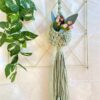 Mini Macrame Air Plant Hanger