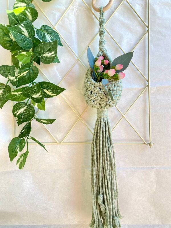Mini Macrame Air Plant Hanger