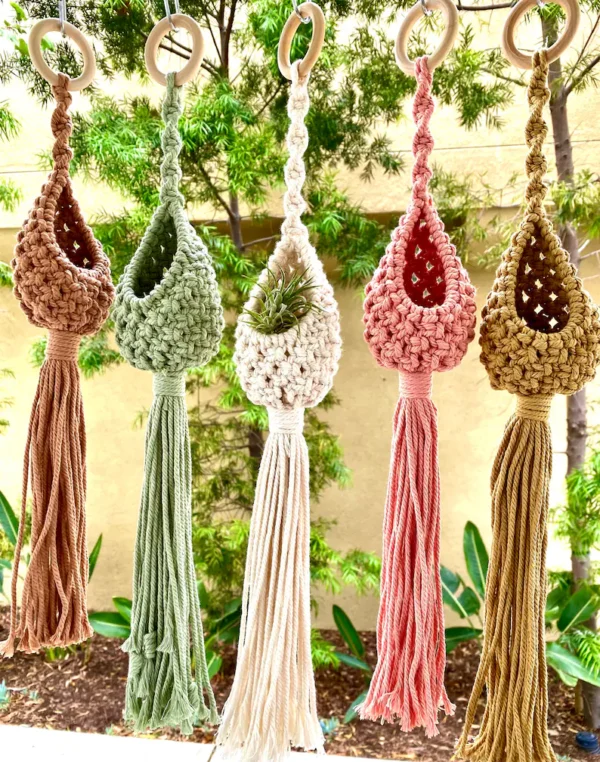 Mini Macrame Air Plant Hanger