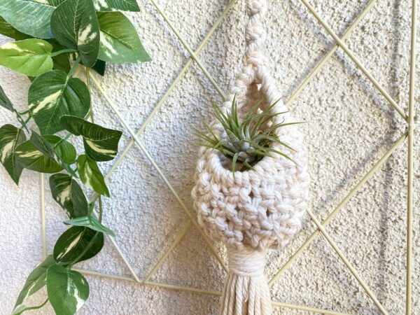 Mini Macrame Air Plant Hanger
