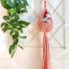 Mini Macrame Air Plant Hanger