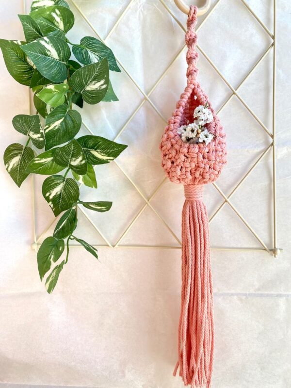 Mini Macrame Air Plant Hanger