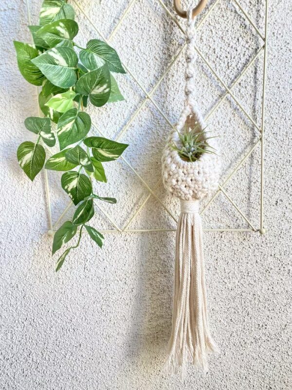 Mini Macrame Air Plant Hanger