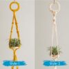 Handcrafted Air Plant Hanger