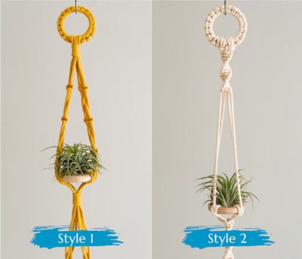 Handcrafted Air Plant Hanger