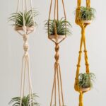 Handcrafted Air Plant Hanger