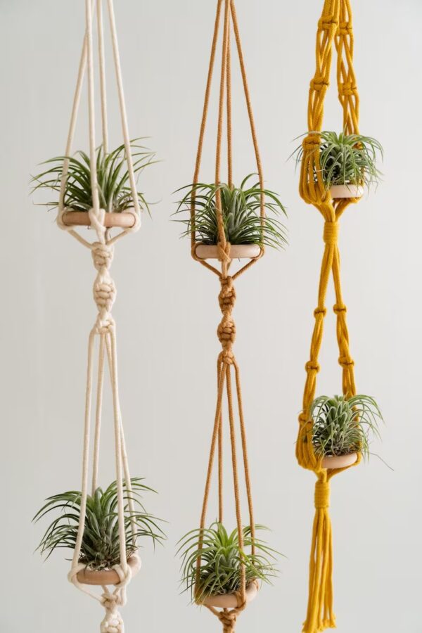 Handcrafted Air Plant Hanger