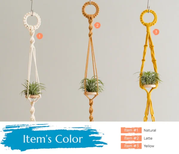 Handcrafted Air Plant Hanger