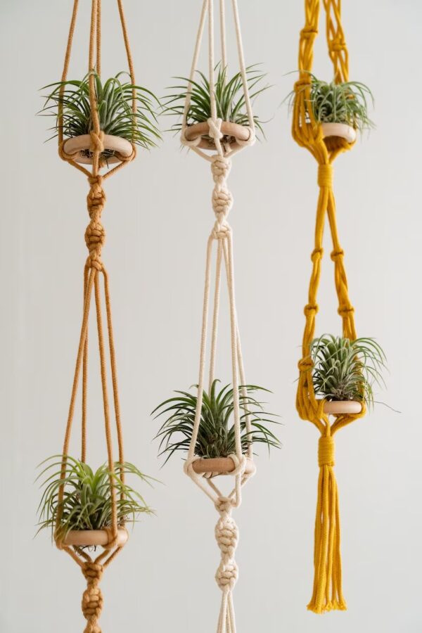 Handcrafted Air Plant Hanger