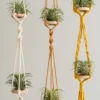 Handcrafted Air Plant Hanger