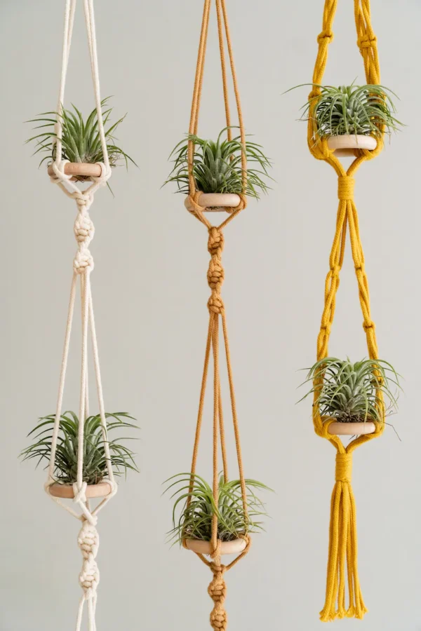 Handcrafted Air Plant Hanger