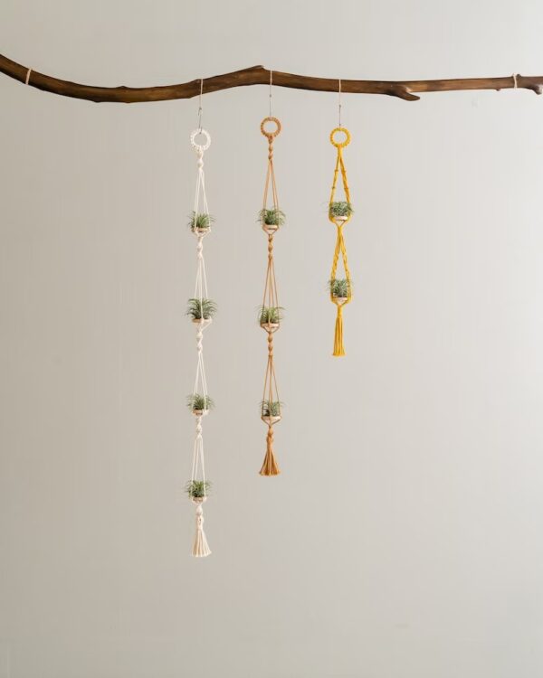 Handcrafted Air Plant Hanger