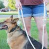 Cream Cotton Rope Dog Leash