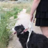 Cream Cotton Rope Dog Leash