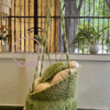 Macrame Round Swing Chair in Olive Green