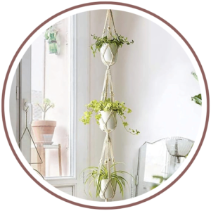 Plant hanger